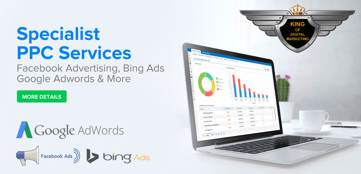 SEO Company in Delhi